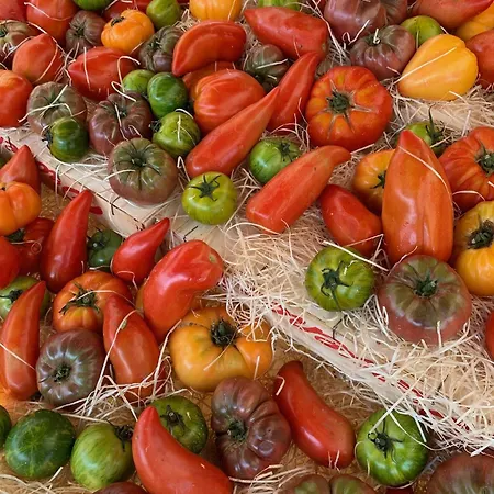 La Cigale Varoise - La アパート