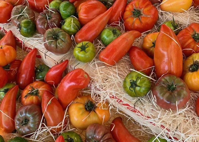 La Cigale Varoise - La Apartament