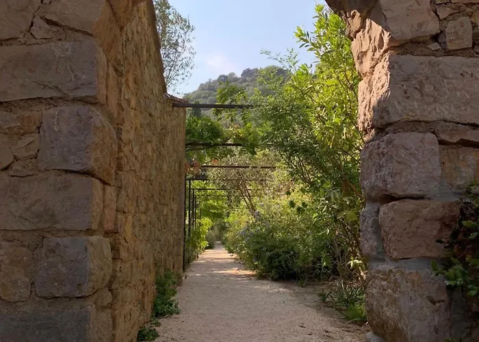 La Cigale Varoise - La